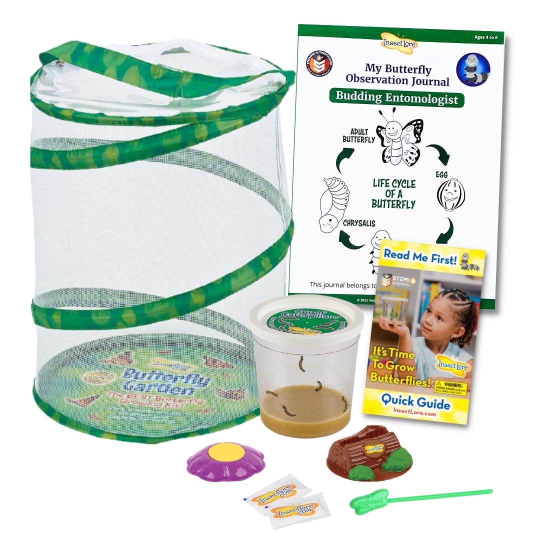 Kit De Mariposas Butterfly Garden Insect Lore Con Orugas Vivas - Venta Internacional.