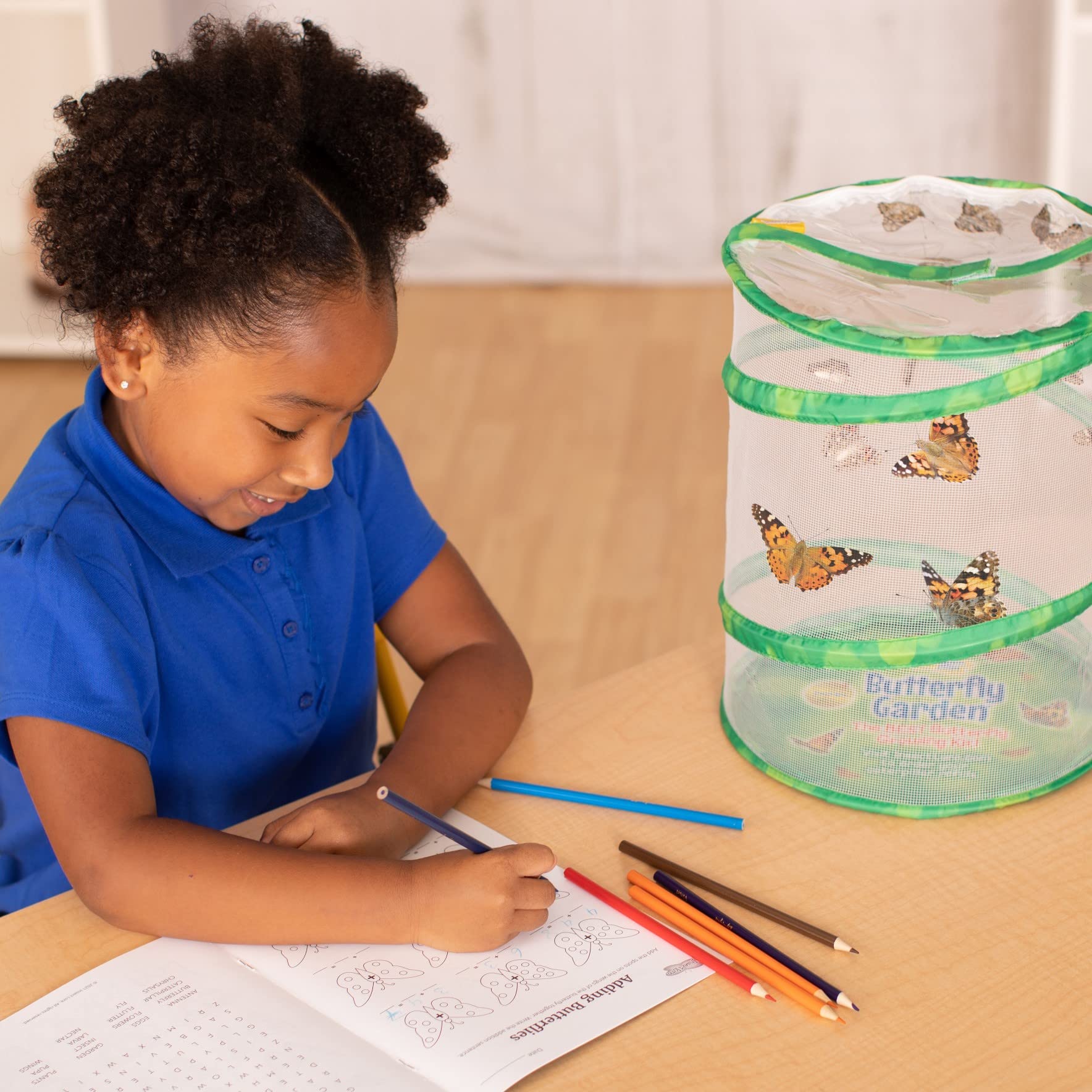 Foto 6 | Kit De Mariposas Butterfly Garden Insect Lore Con Orugas Vivas - Venta Internacional.