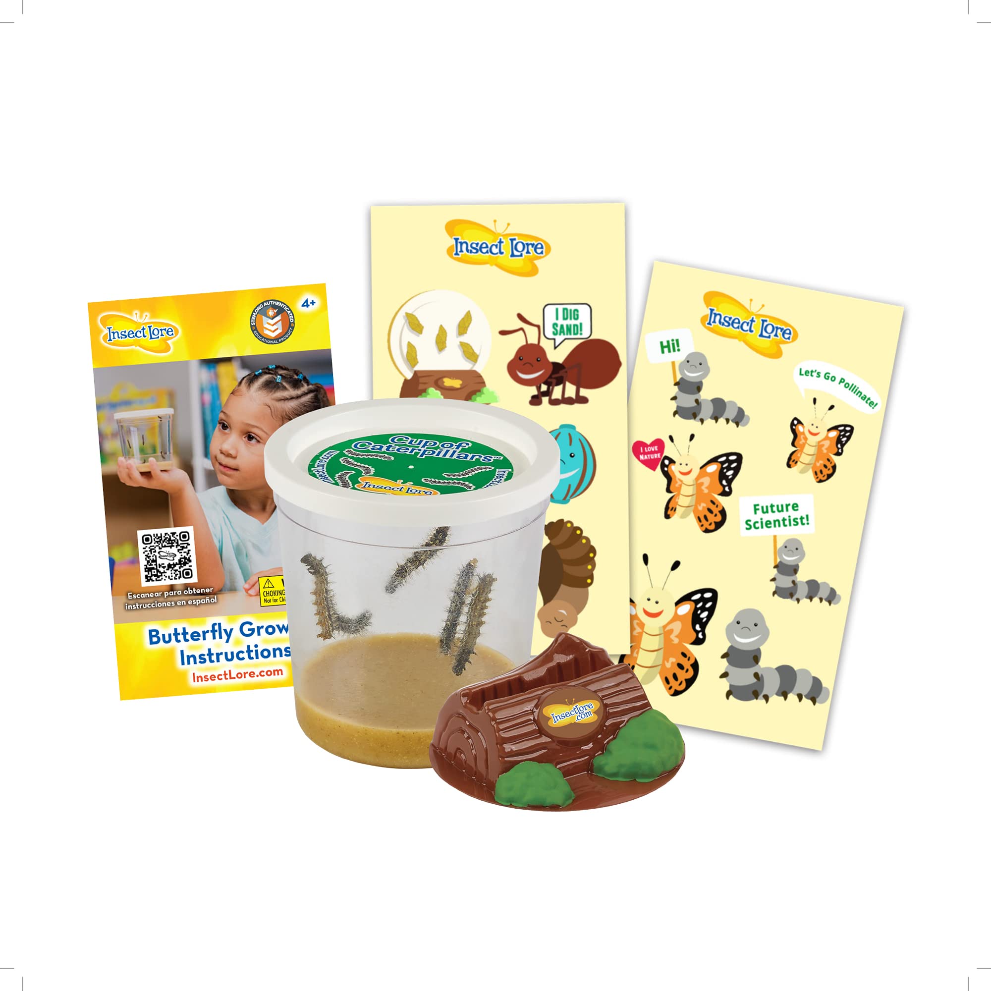 Recambio Cup Of Caterpillars Insect Lore Para Jardín De Mariposas - Venta Internacional.