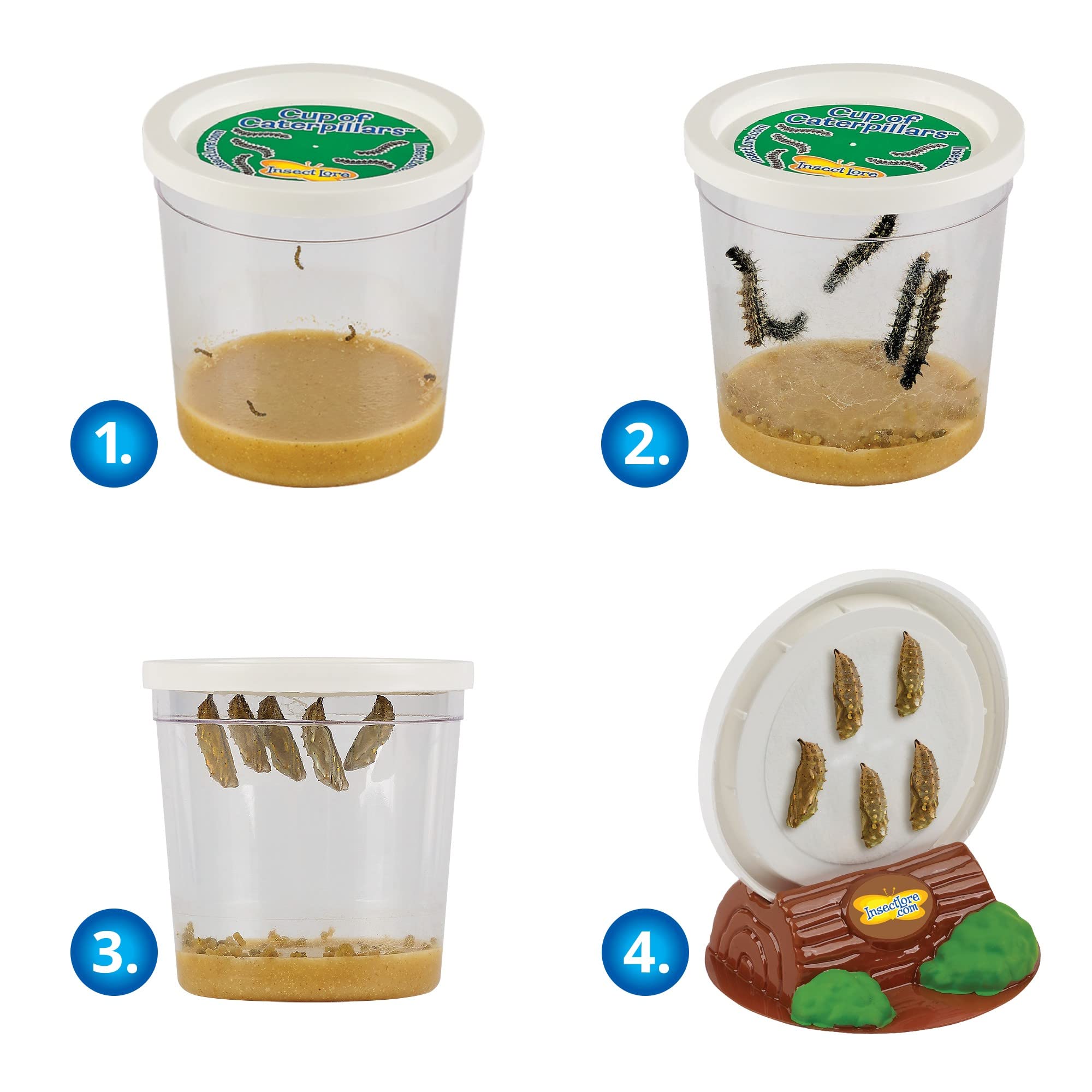 Foto 5 pulgar | Recambio Cup Of Caterpillars Insect Lore Para Jardín De Mariposas - Venta Internacional.