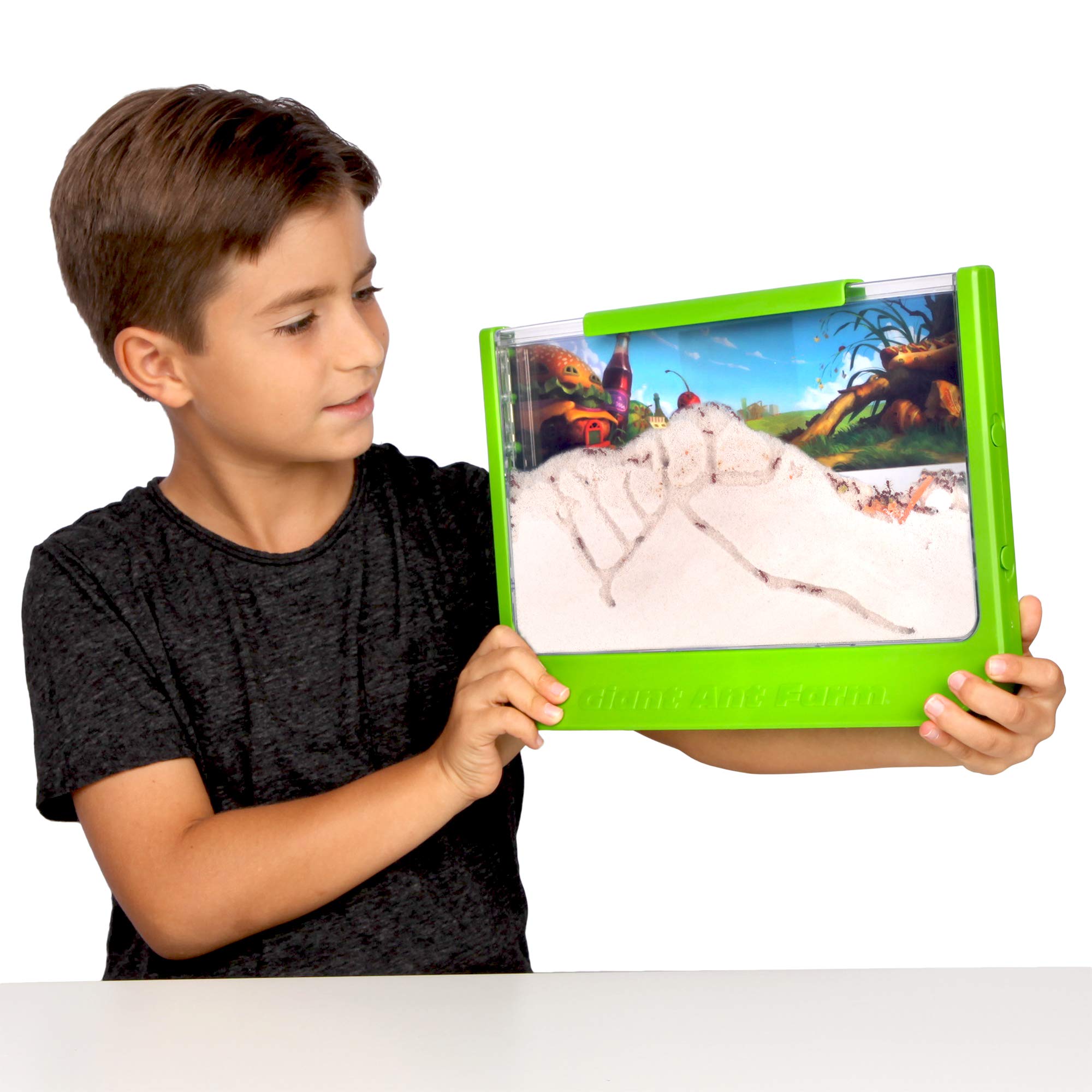 Ant Farm Uncle Milton Giant Con Gran Área De Visualización, Color Verde - Venta Internacional.