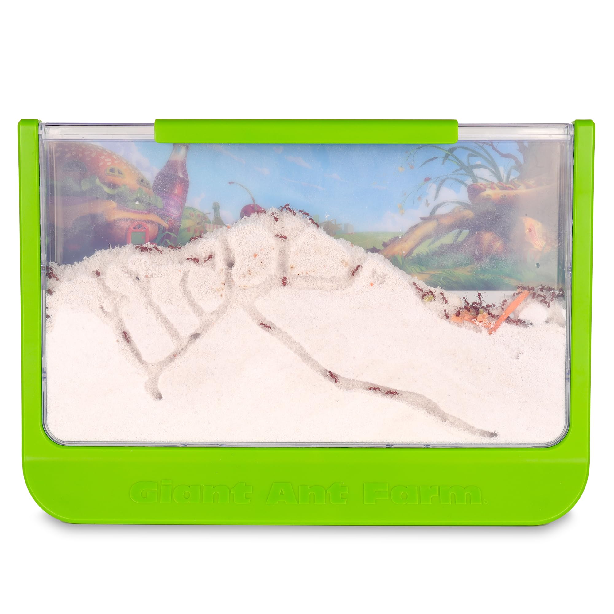 Foto 7 | Ant Farm Uncle Milton Giant Con Gran Área De Visualización, Color Verde - Venta Internacional.