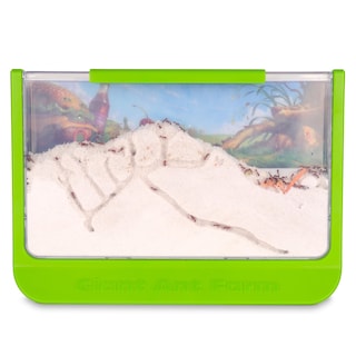 Foto 7 | Ant Farm Uncle Milton Giant Con Gran Área De Visualización, Color Verde - Venta Internacional.