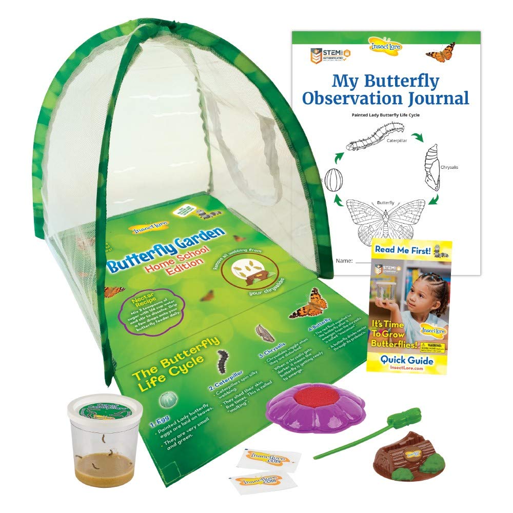 Foto 2 pulgar | Kit Butterfly Garden Para El Hogar Y La Escuela De Insectos Con Orugas Vivas - Venta Internacional.