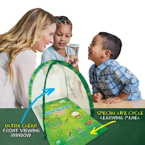 Foto 4 pulgar | Kit Butterfly Garden Para El Hogar Y La Escuela De Insectos Con Orugas Vivas - Venta Internacional.
