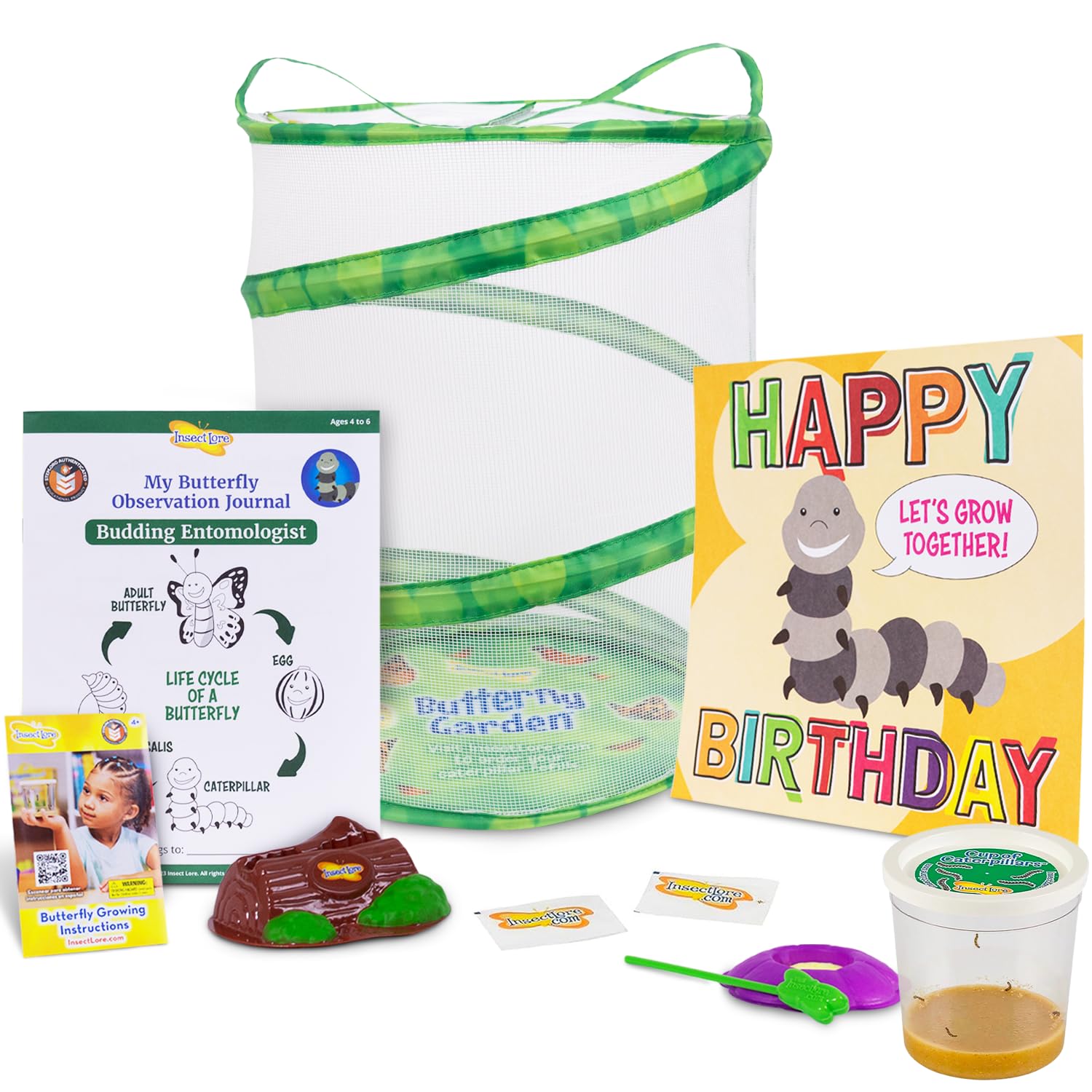 Kit De Cultivo De Mariposas Insect Lore Birthday Con Orugas Vivas - Venta Internacional.