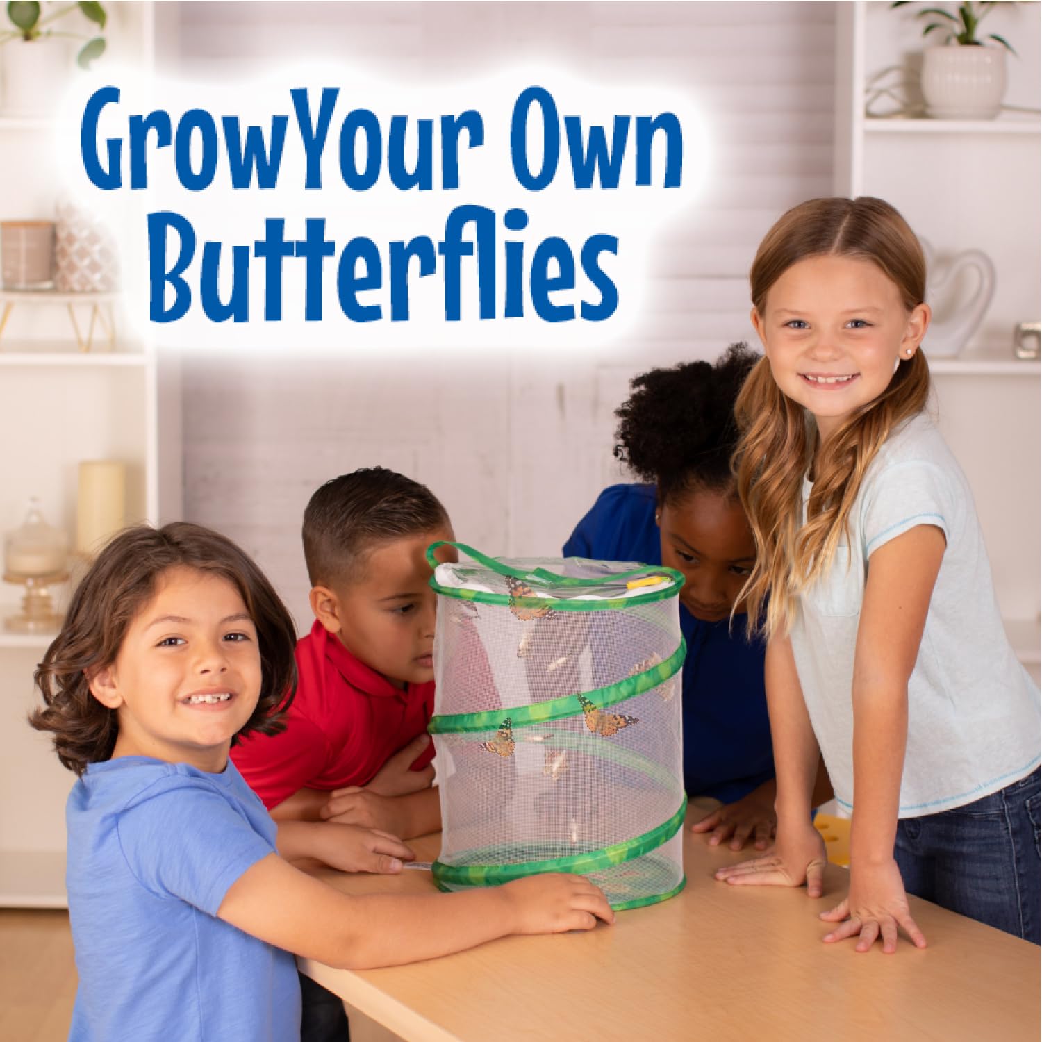 Foto 4 | Kit De Cultivo De Mariposas Insect Lore Birthday Con Orugas Vivas - Venta Internacional.