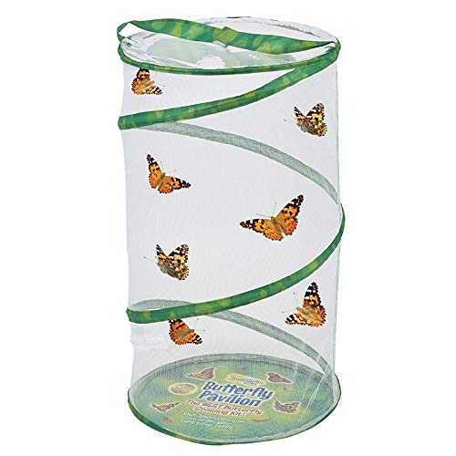 Foto 4 pulgar | Butterfly Pavilion Habitat Insect Lore, 60 Cm De Altura, Para Insectos - Venta Internacional.