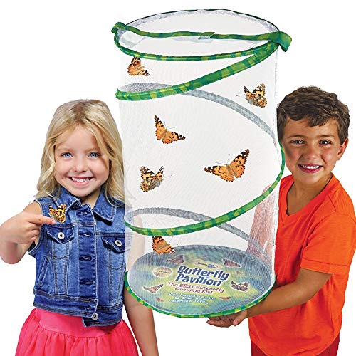 Foto 5 pulgar | Butterfly Pavilion Habitat Insect Lore, 60 Cm De Altura, Para Insectos - Venta Internacional.