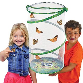 Foto 4 | Butterfly Pavilion Habitat Insect Lore, 60 Cm De Altura, Para Insectos - Venta Internacional.