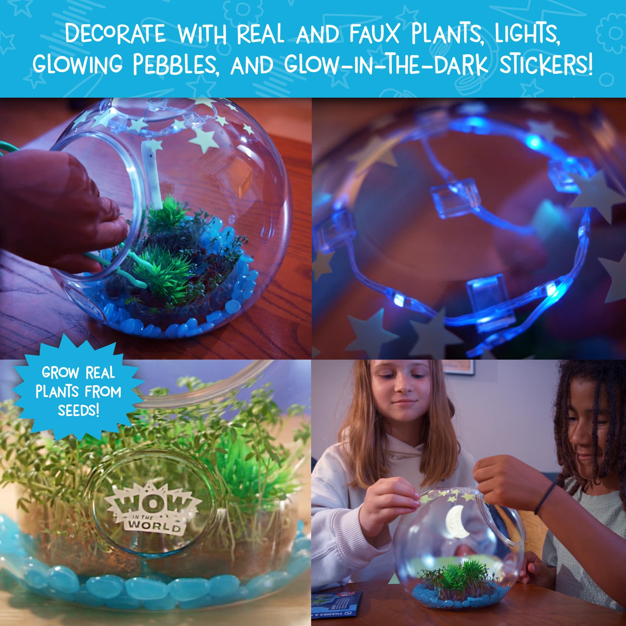 Foto 4 pulgar | Terrarium Thames & Kosmos Sorprenden Al Mundo Con Más De 6 Años De Iluminación - Venta Internacional.