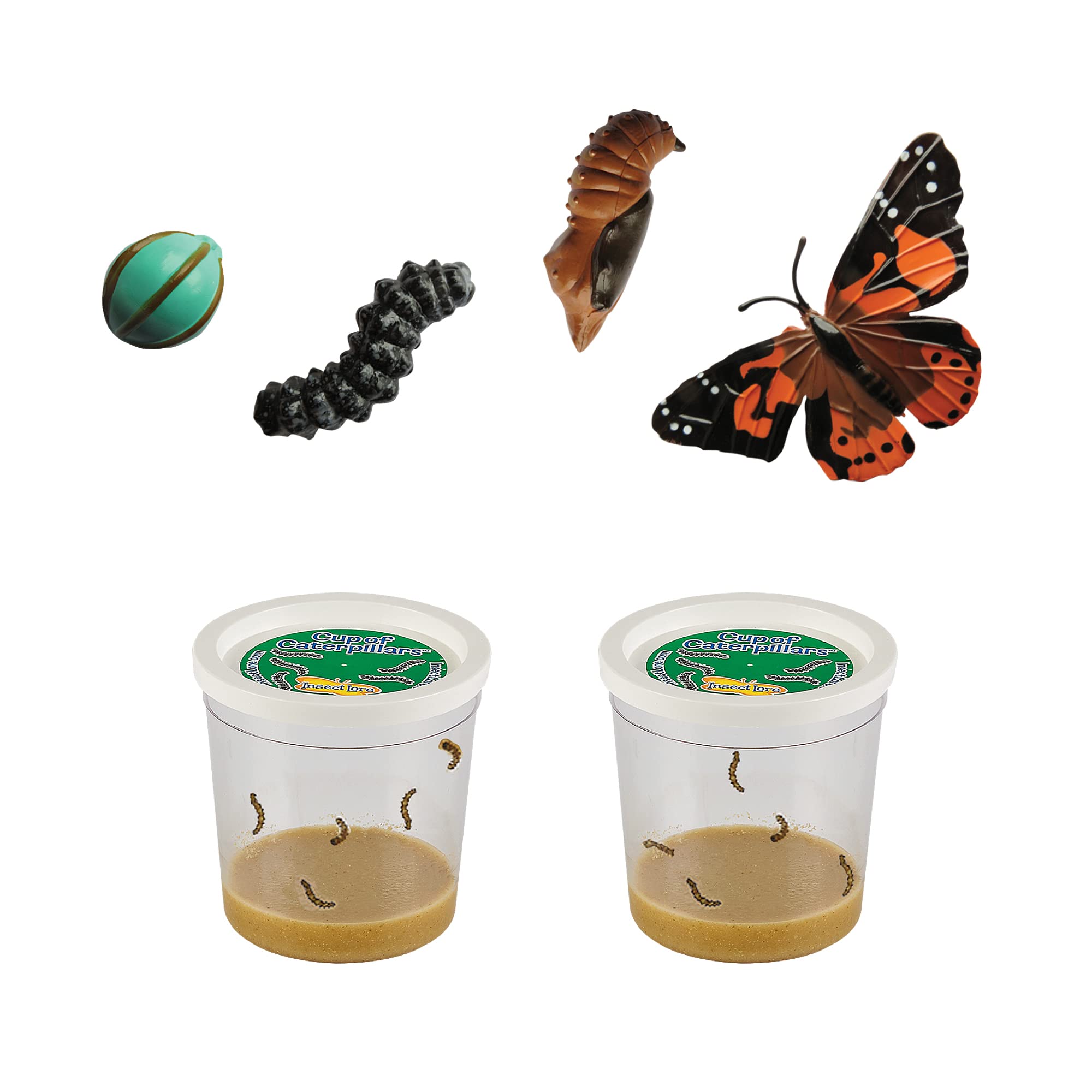 Figuras De Orugas Con Mariposas Sobre El Ciclo De Vida De Insect Lore - Venta Internacional.