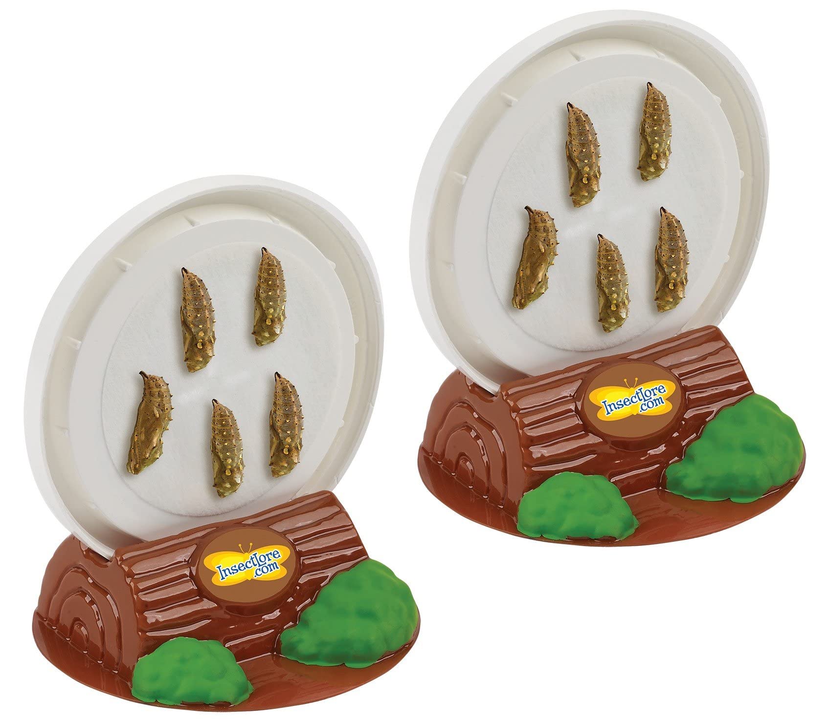 Foto 3 pulgar | Figuras De Orugas Con Mariposas Sobre El Ciclo De Vida De Insect Lore - Venta Internacional.