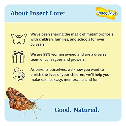 Foto 7 | Figuras De Orugas Con Mariposas Sobre El Ciclo De Vida De Insect Lore - Venta Internacional.