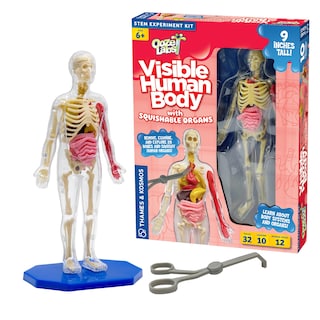 Foto 1 | Modelo De Cuerpo Humano Thames & Kosmos Ooze Labs Con Órganos - Venta Internacional.
