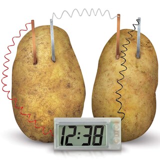 Foto 3 | Potato Clock, Laboratorio De Ingeniería Química Y Química, Bricolaje, 4 M - Venta Internacional.