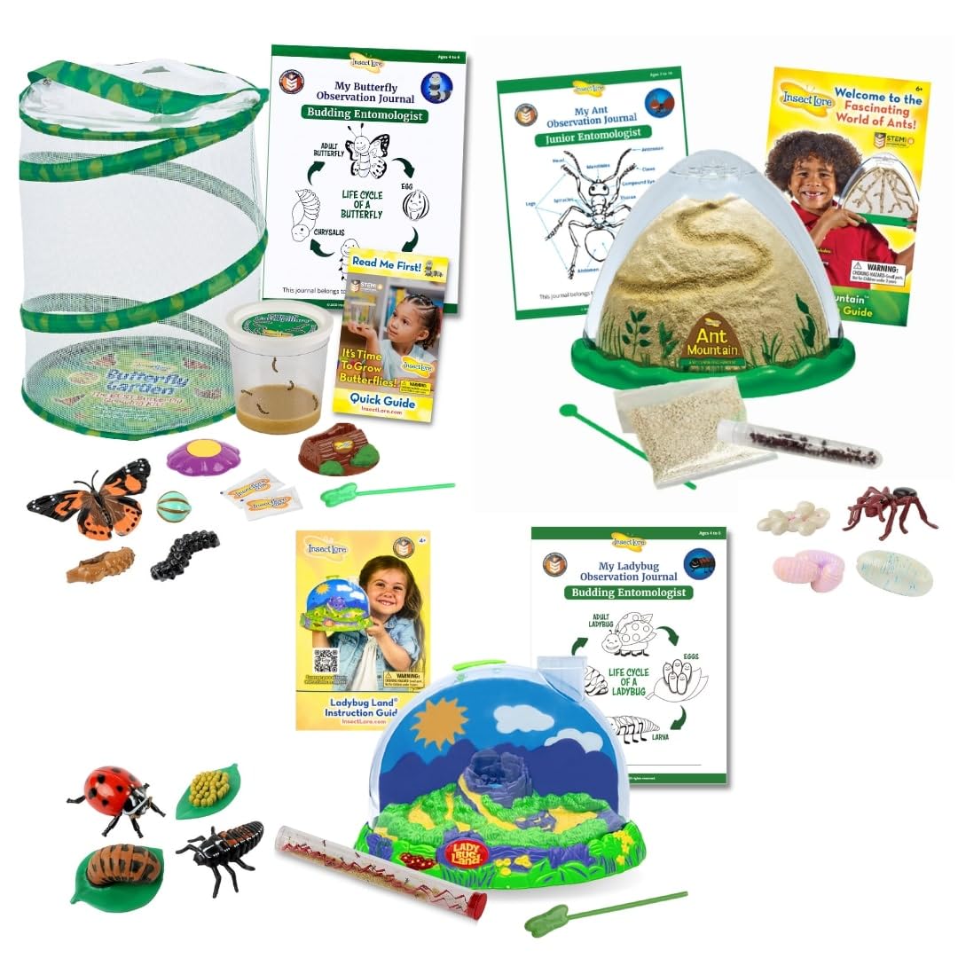Foto 2 pulgar | Kit Bug Camp Bundle Insect Lore Butterfly Con Orugas Vivas - Venta Internacional.