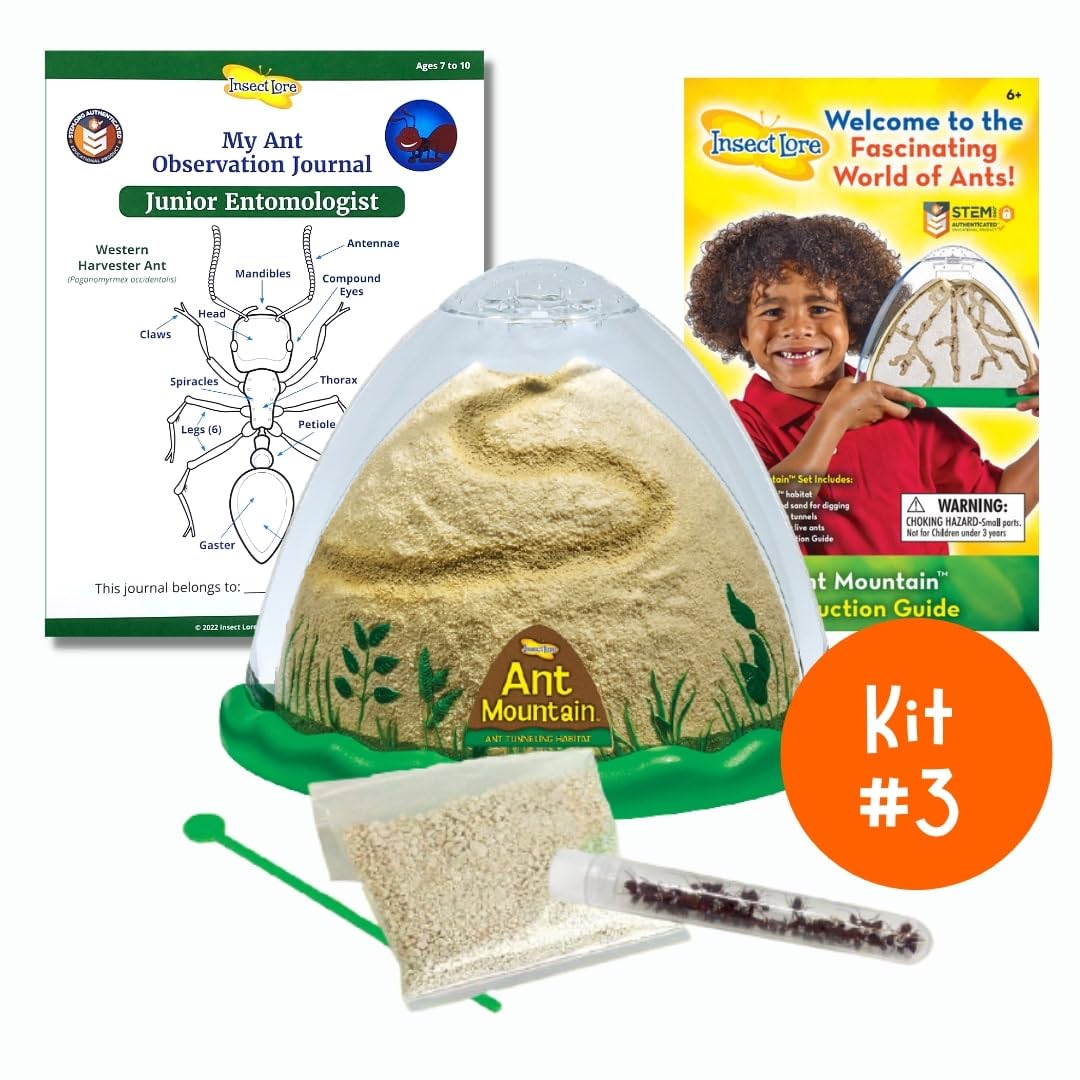 Foto 3 pulgar | Kit Bug Camp Bundle Insect Lore Butterfly Con Orugas Vivas - Venta Internacional.
