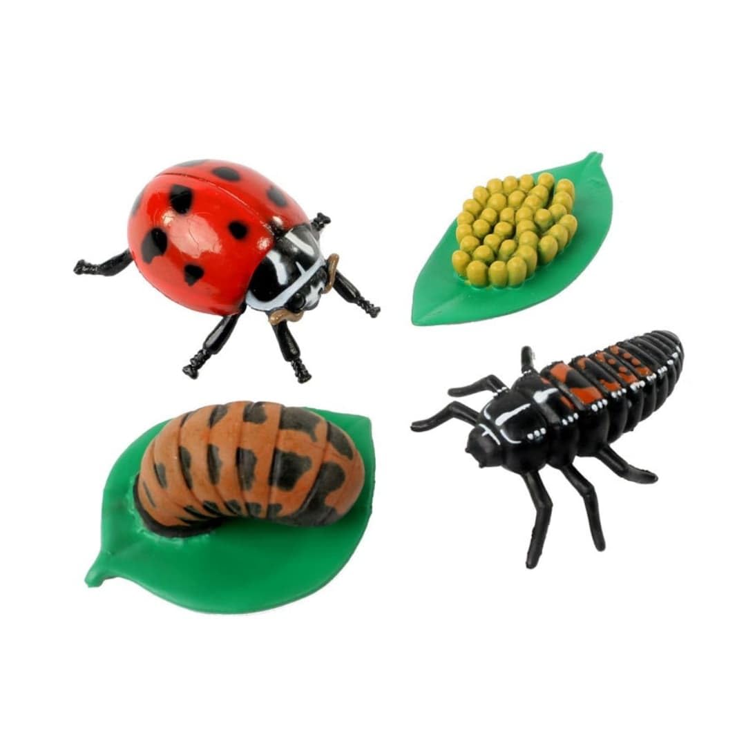 Foto 5 pulgar | Kit Bug Camp Bundle Insect Lore Butterfly Con Orugas Vivas - Venta Internacional.