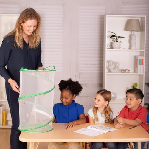 Foto 6 pulgar | Recarga De Kit Escolar Con 33 Orugas Vivas Y 33 Mariposas - Venta Internacional.