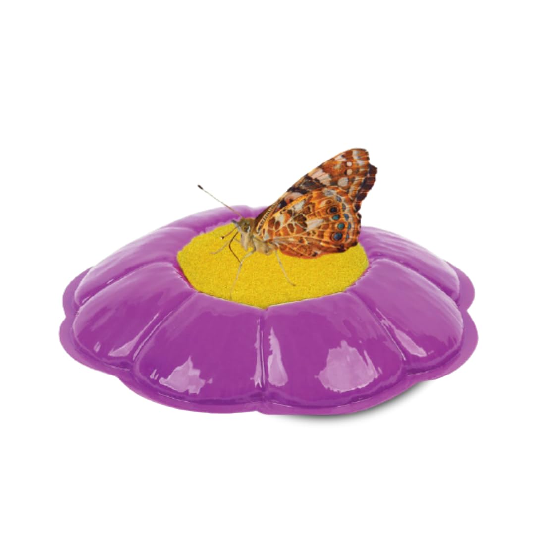 Foto 8 pulgar | Recarga De Kit Escolar Con 33 Orugas Vivas Y 33 Mariposas - Venta Internacional.