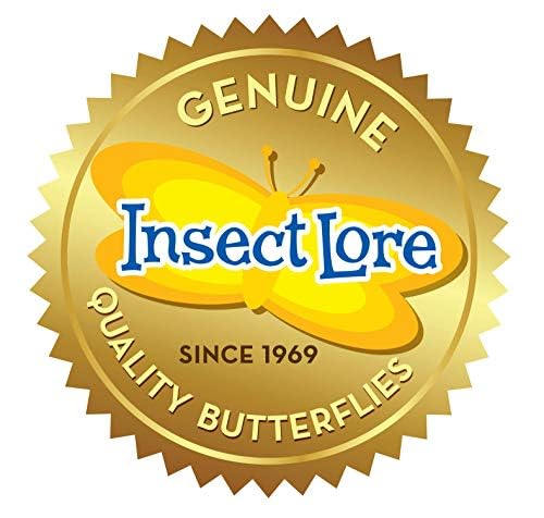 Foto 7 | Set De Regalo Para Jardín De Mariposas Insect Lore 8 Habitat Con Orugas - Venta Internacional.