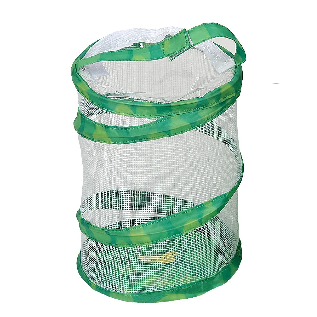 Mini Butterfly Habitat Insect Lore, Malla Transparente De 20 Cm De Altura - Venta Internacional.