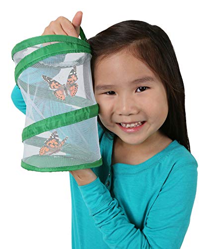 Foto 2 | Mini Butterfly Habitat Insect Lore, Malla Transparente De 20 Cm De Altura - Venta Internacional.