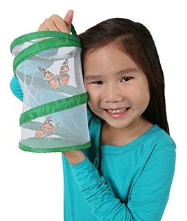 Foto 2 | Mini Butterfly Habitat Insect Lore, Malla Transparente De 20 Cm De Altura - Venta Internacional.