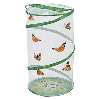 Foto 3 | Habitat Pack Insect Lore Butterfly Pavilion Para Insectos X2 - Venta Internacional.