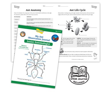 Foto 2 | Cosechadora Western Living Ants Insect Lore 50 Con Diario Stem - Venta Internacional.