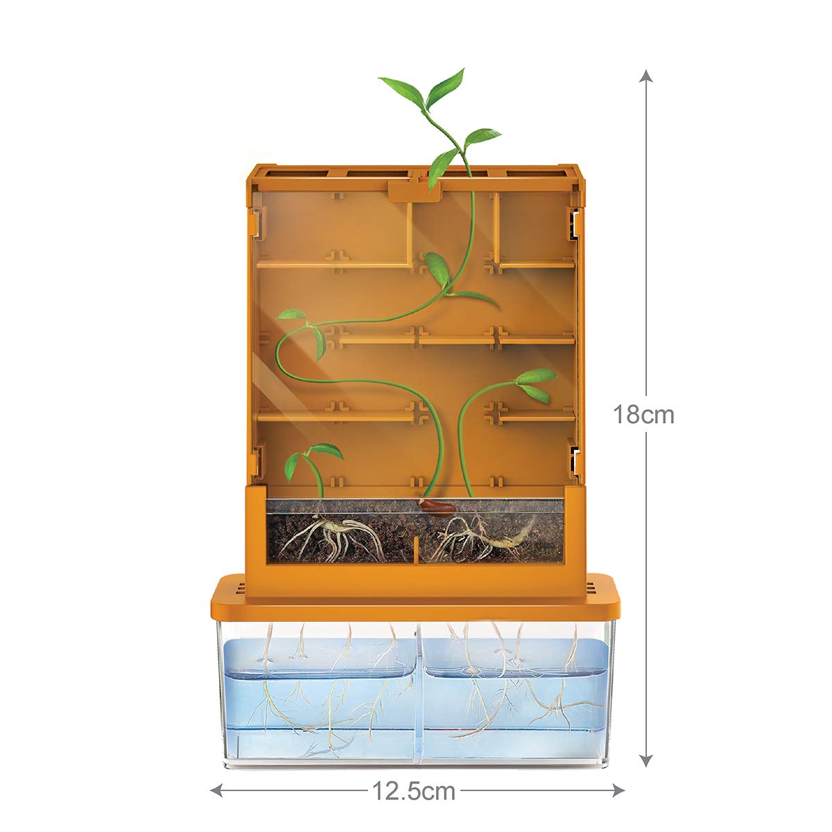 Foto 3 pulgar | Kit Científico Green Science Grow A Maze De 4 Metros Para Niños Mayores De 5 Años - Venta Internacional.