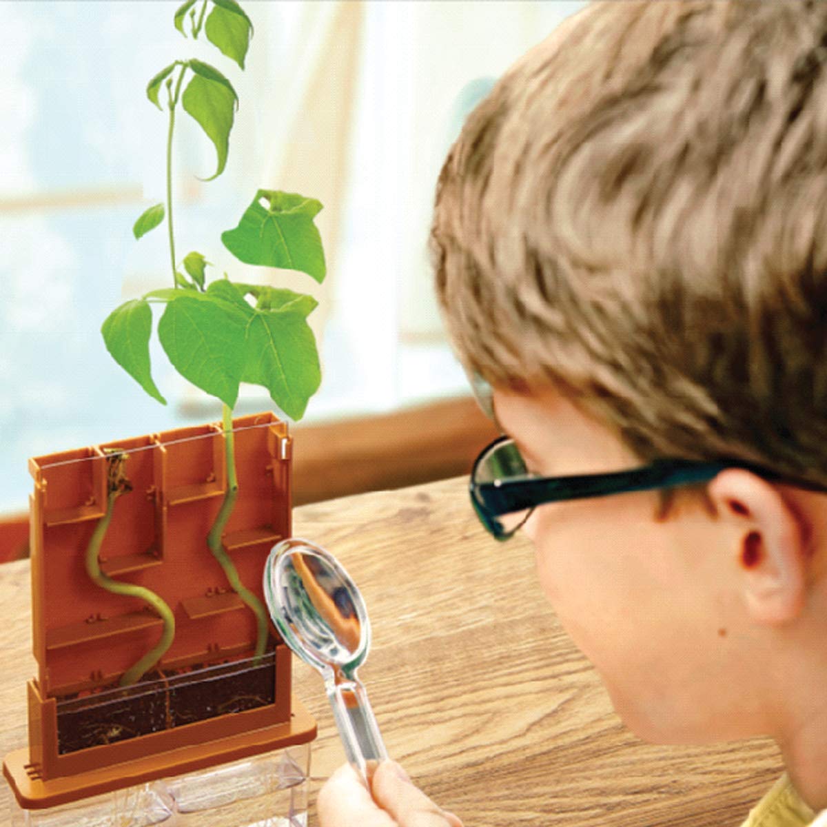 Foto 5 pulgar | Kit Científico Green Science Grow A Maze De 4 Metros Para Niños Mayores De 5 Años - Venta Internacional.