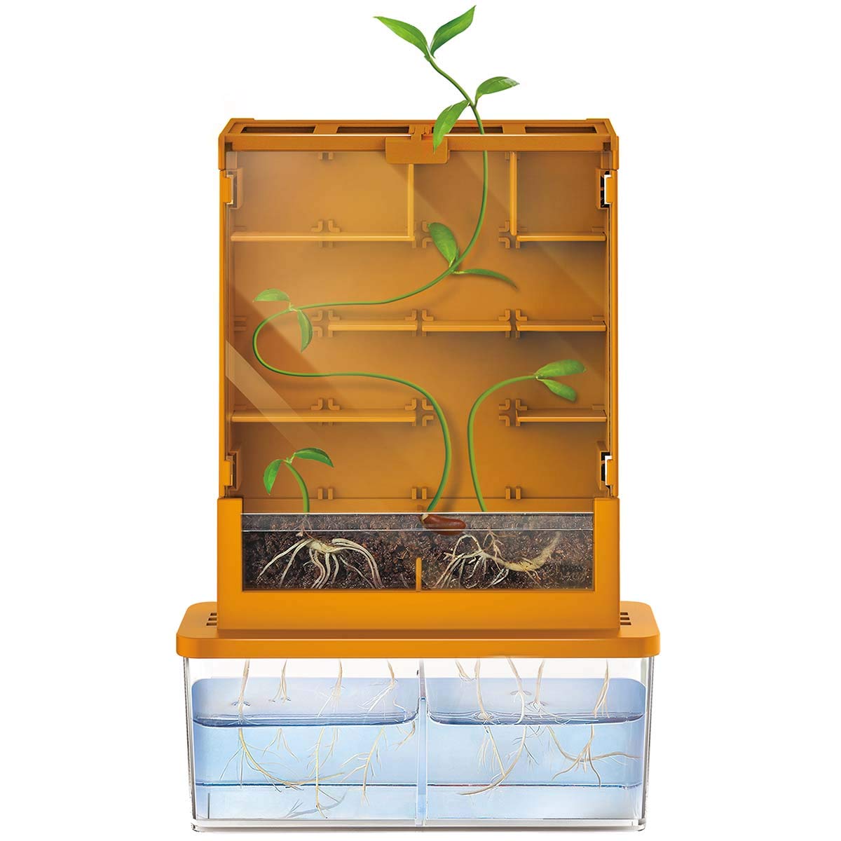 Foto 7 pulgar | Kit Científico Green Science Grow A Maze De 4 Metros Para Niños Mayores De 5 Años - Venta Internacional.
