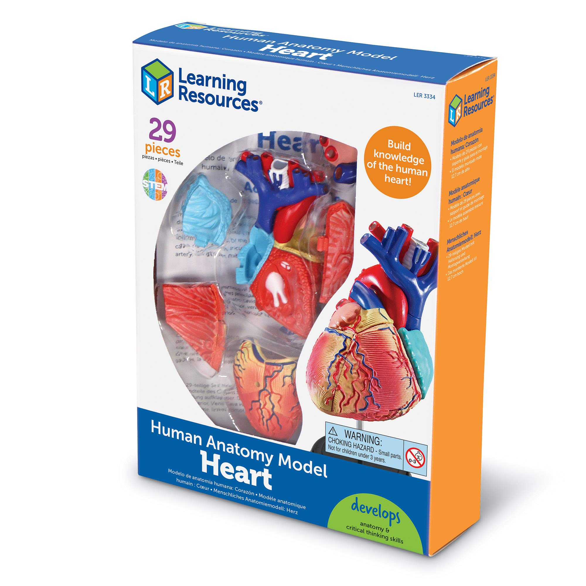 Foto 7 pulgar | Recursos De Aprendizaje De Modelos De Anatomía Corazón Humano Para Niños Mayores De 8 Años - Venta Internacional.