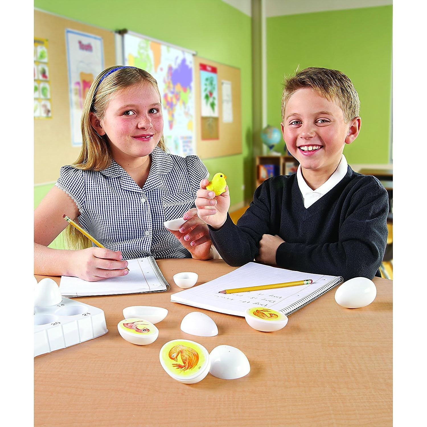 Foto 4 | Exploration Set Learning Resources Ciclo De Vida De Los Pollitos: Más De 5 Años - Venta Internacional.