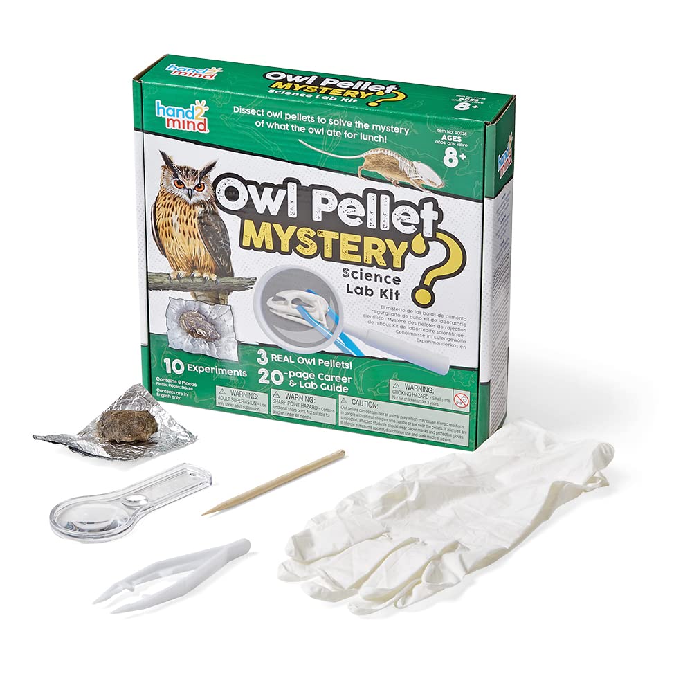 Kit Científico Hand2mind Animal Science Para Niños De 8 A 12 Años Con Guía - Venta Internacional.