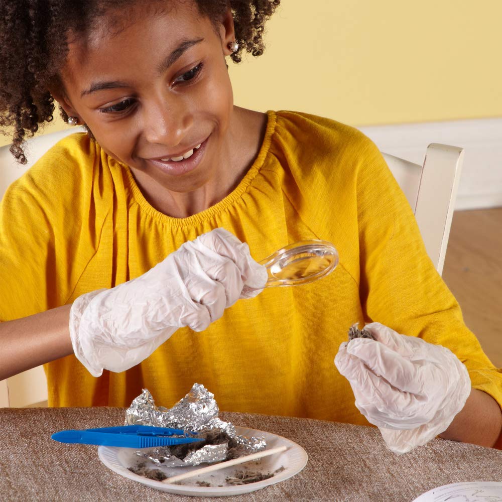 Foto 3 | Kit Científico Hand2mind Animal Science Para Niños De 8 A 12 Años Con Guía - Venta Internacional.