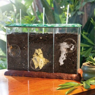 Foto 3 | Juguete Stem Transparente Con Información Educativa Para Contenedores De Abono - Venta Internacional.