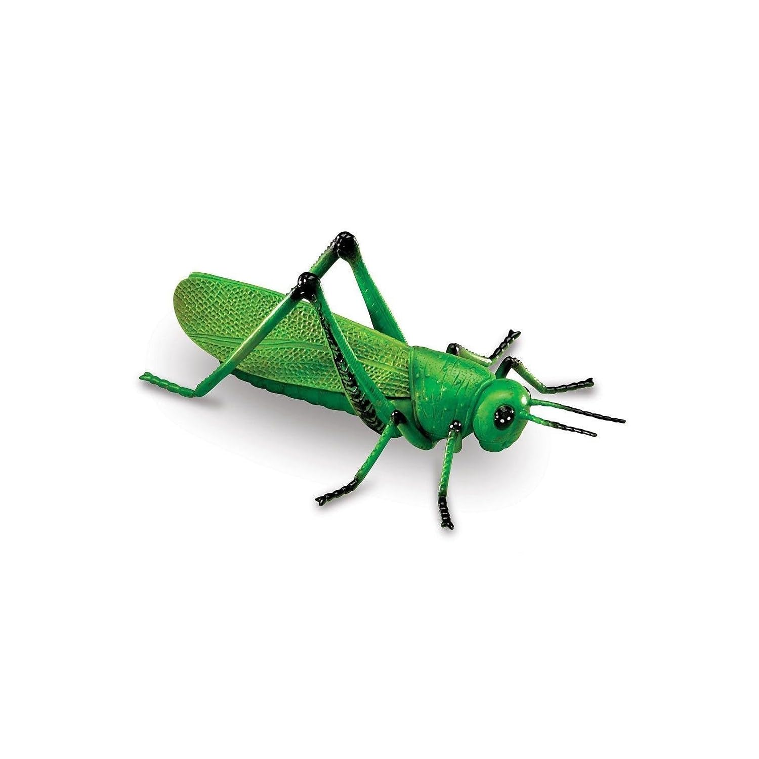 Foto 5 pulgar | Jumbo Insects De Toy Learning Resources, 7 Piezas, Para Niños Mayores De 3 Años - Venta Internacional.