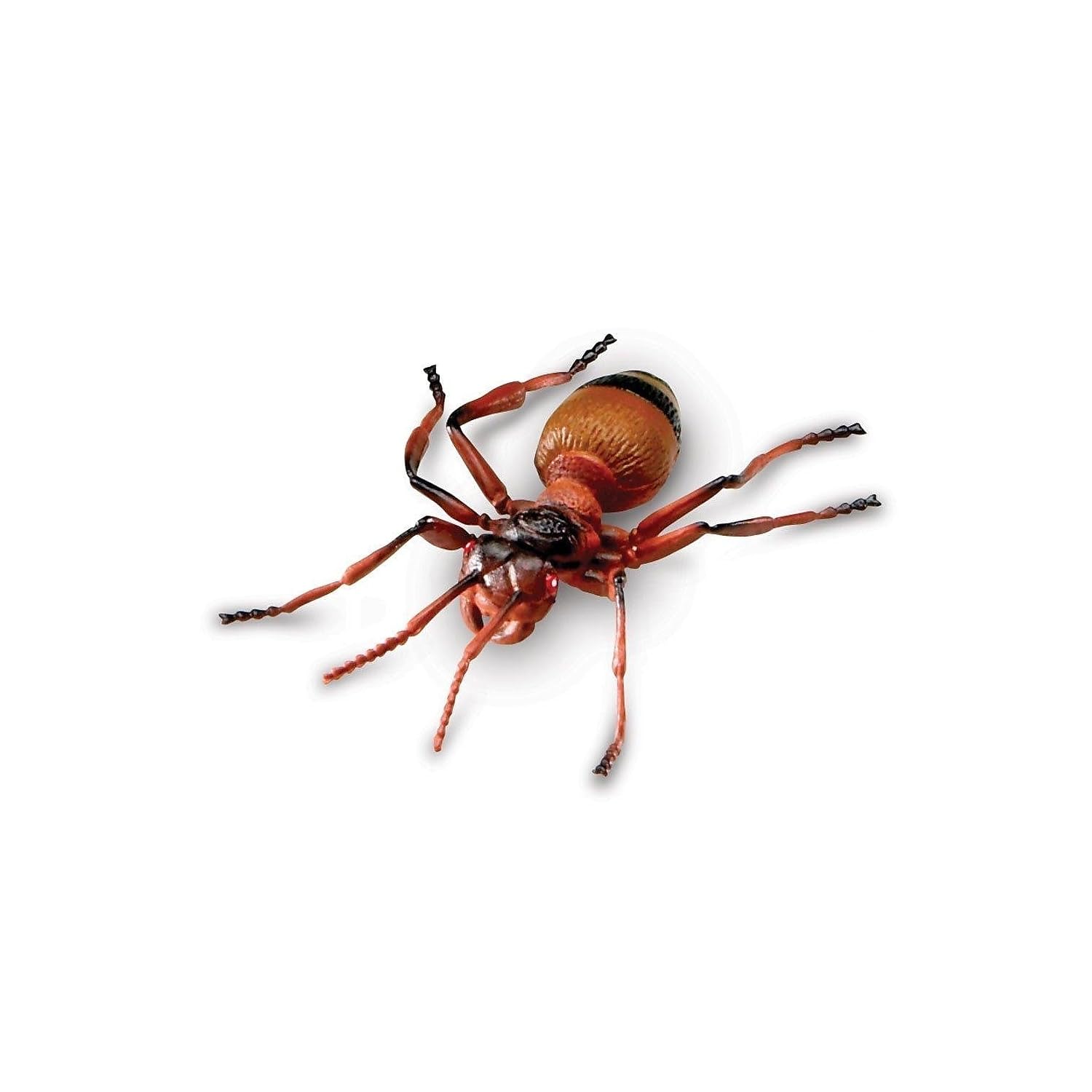 Foto 7 pulgar | Jumbo Insects De Toy Learning Resources, 7 Piezas, Para Niños Mayores De 3 Años - Venta Internacional.