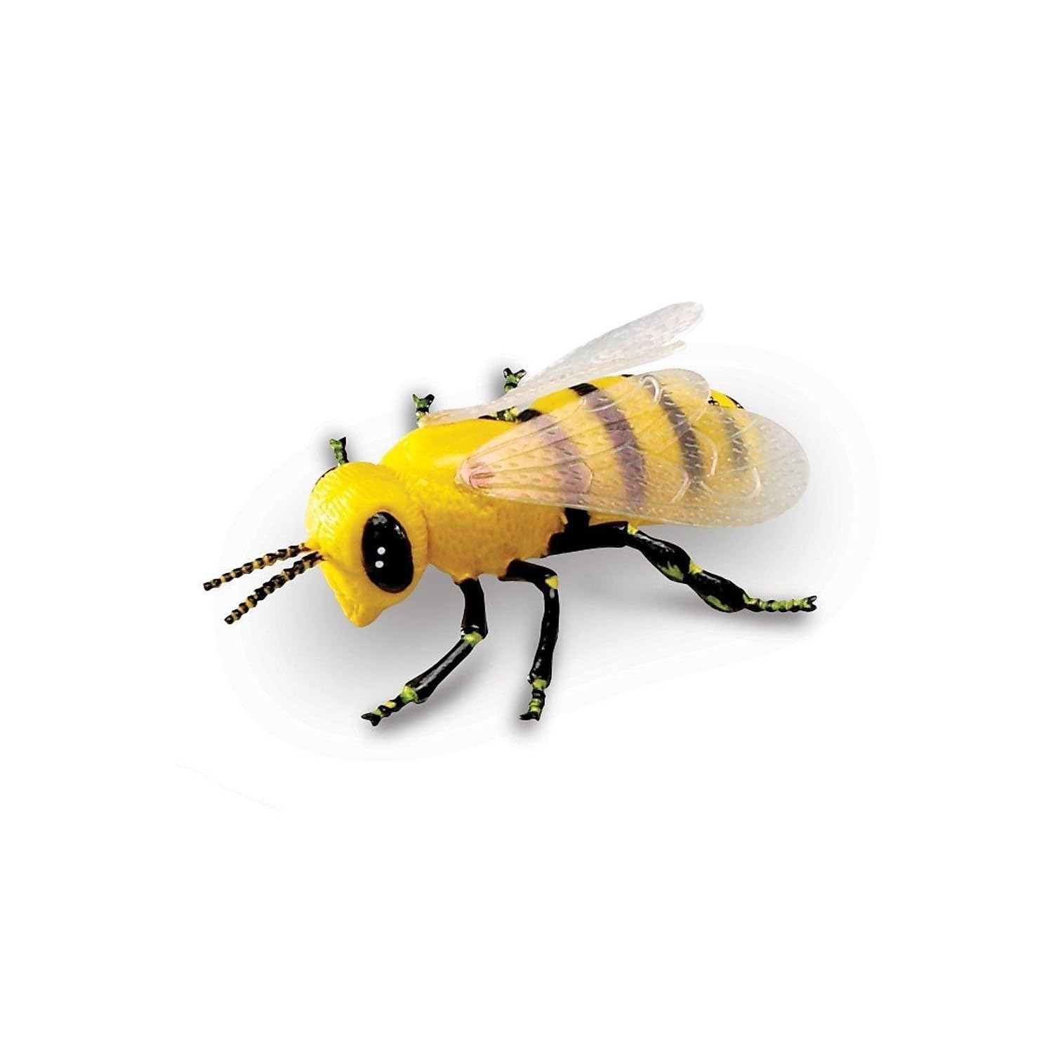 Foto 8 pulgar | Jumbo Insects De Toy Learning Resources, 7 Piezas, Para Niños Mayores De 3 Años - Venta Internacional.