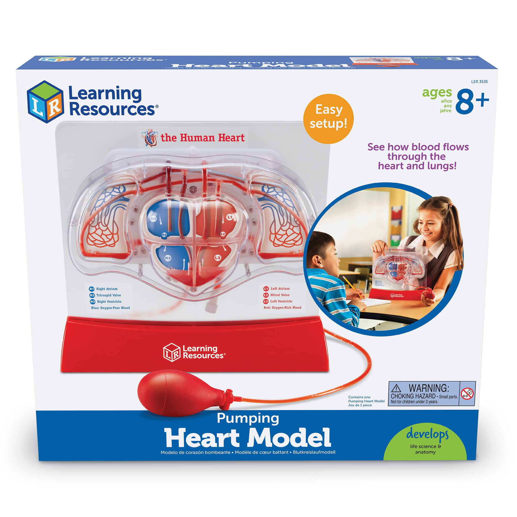 Foto 5 pulgar | Kit Científico Educativo, Recursos De Aprendizaje, Modelo De Corazón Bombeado - Venta Internacional.