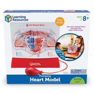 Foto 4 | Kit Científico Educativo, Recursos De Aprendizaje, Modelo De Corazón Bombeado - Venta Internacional.