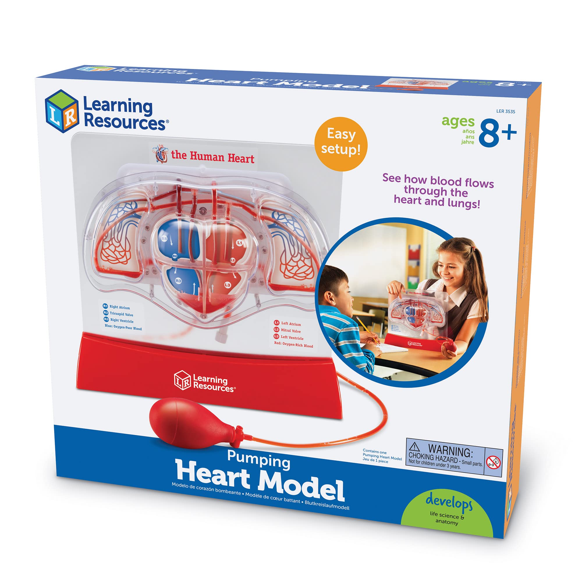 Foto 6 pulgar | Kit Científico Educativo, Recursos De Aprendizaje, Modelo De Corazón Bombeado - Venta Internacional.