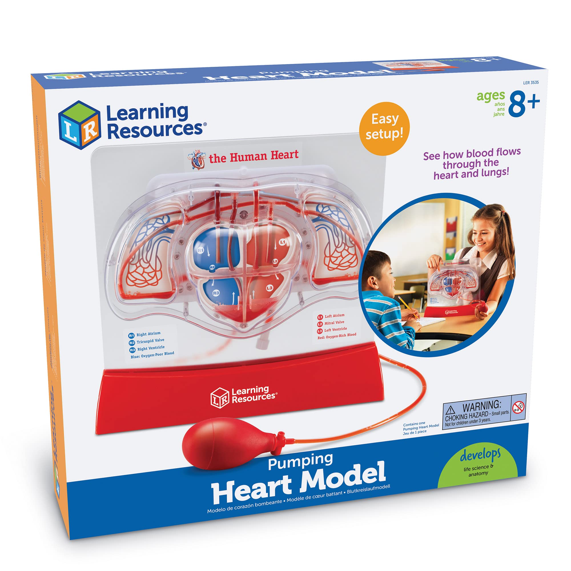 Foto 7 pulgar | Kit Científico Educativo, Recursos De Aprendizaje, Modelo De Corazón Bombeado - Venta Internacional.