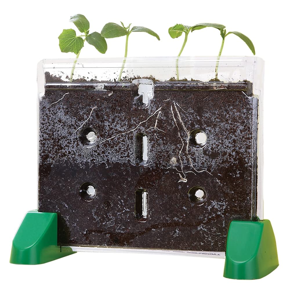 Kit De Cultivo De Plantas Educational Insights Sprout & Grow Window - Venta Internacional.