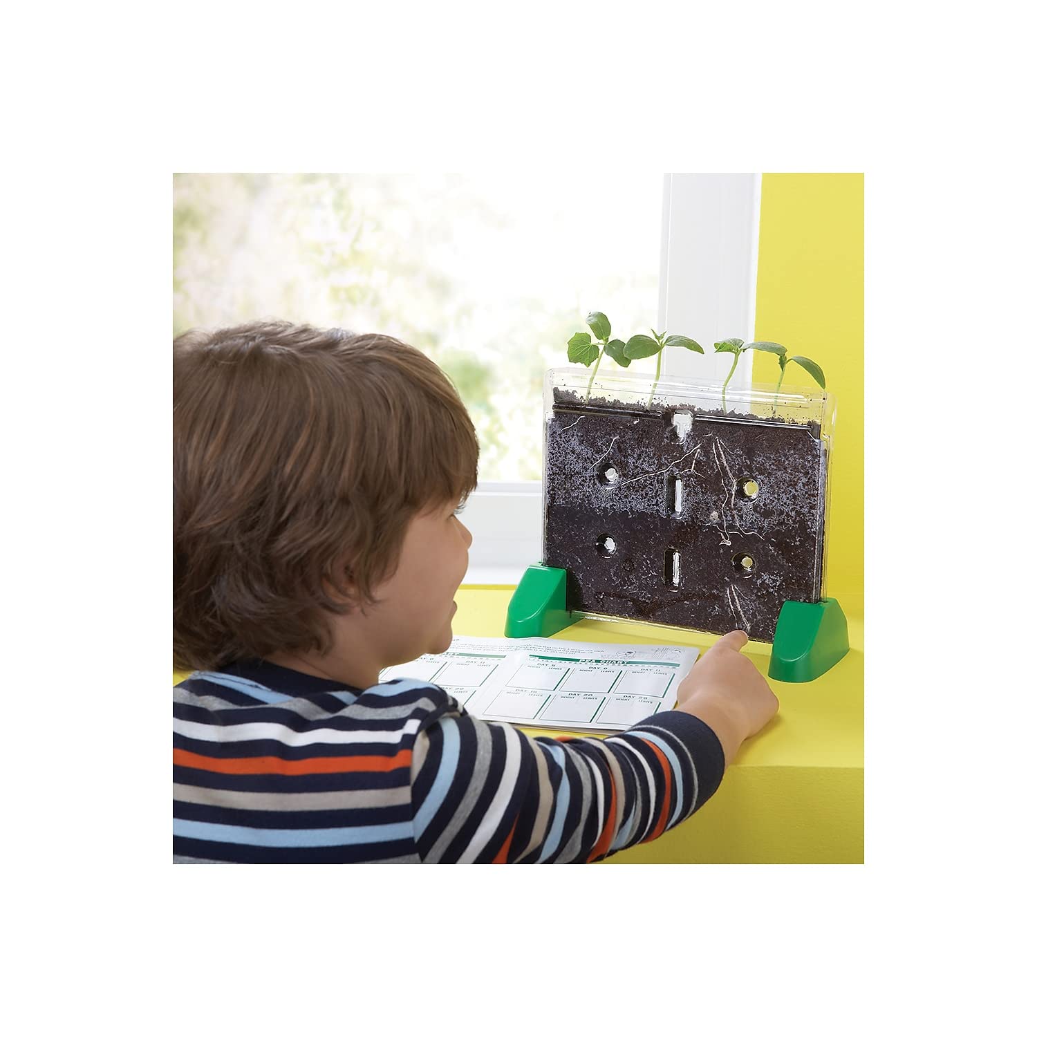 Foto 3 pulgar | Kit De Cultivo De Plantas Educational Insights Sprout & Grow Window - Venta Internacional.