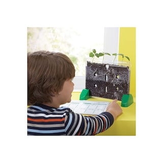 Foto 2 | Kit De Cultivo De Plantas Educational Insights Sprout & Grow Window - Venta Internacional.