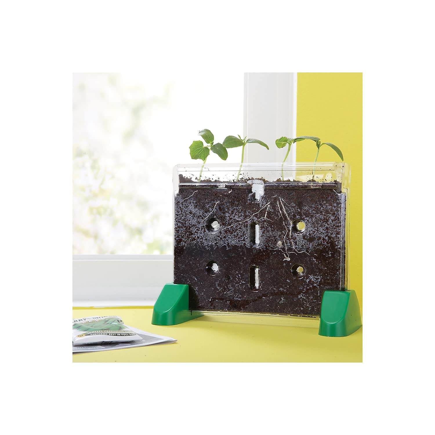 Foto 4 pulgar | Kit De Cultivo De Plantas Educational Insights Sprout & Grow Window - Venta Internacional.